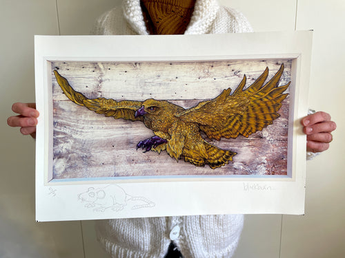 Hawk Trophy print with drawing (2016)